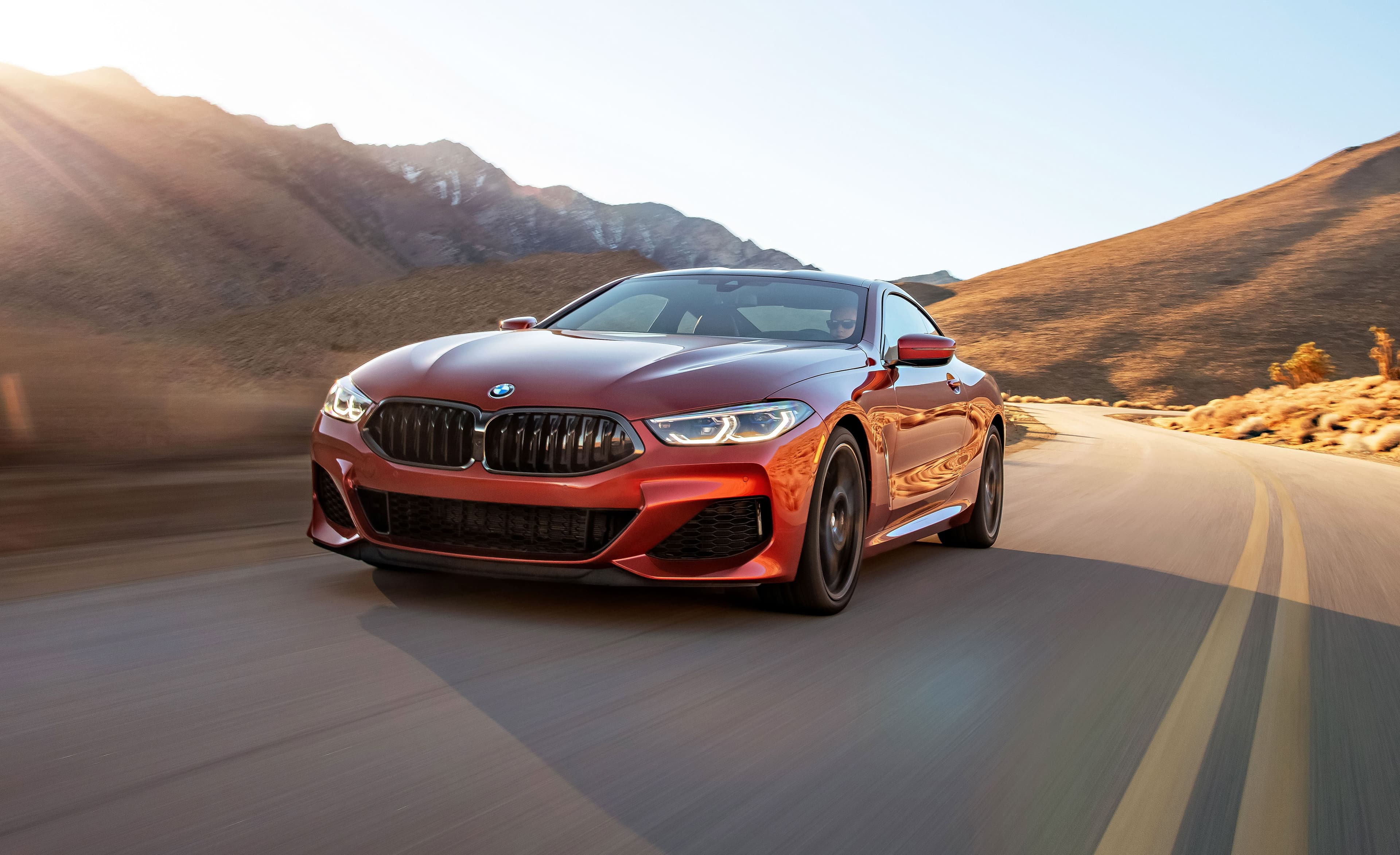 BMW car import